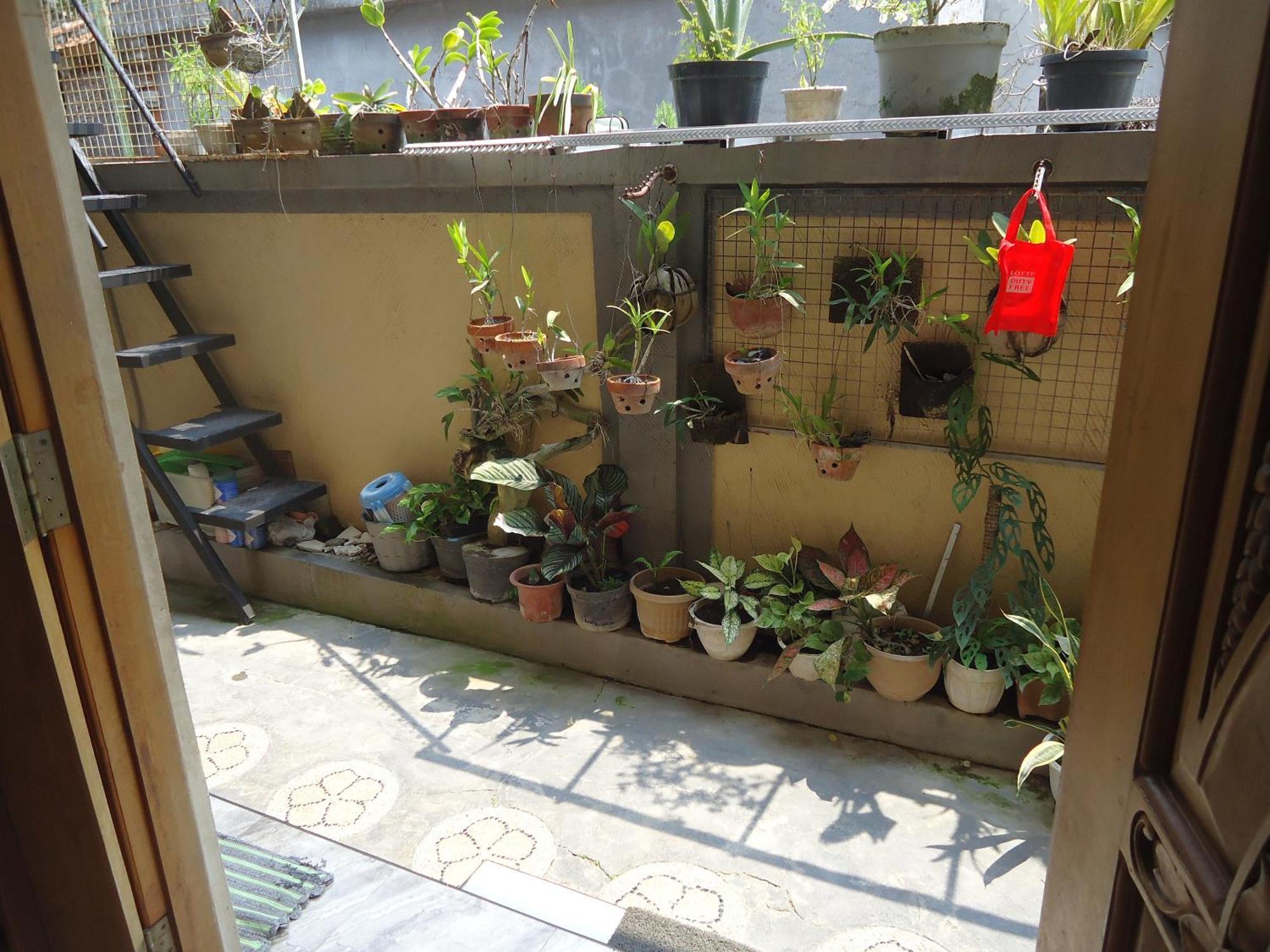 The Reinhold Guesthouse Bali Kerobokan Екстериор снимка